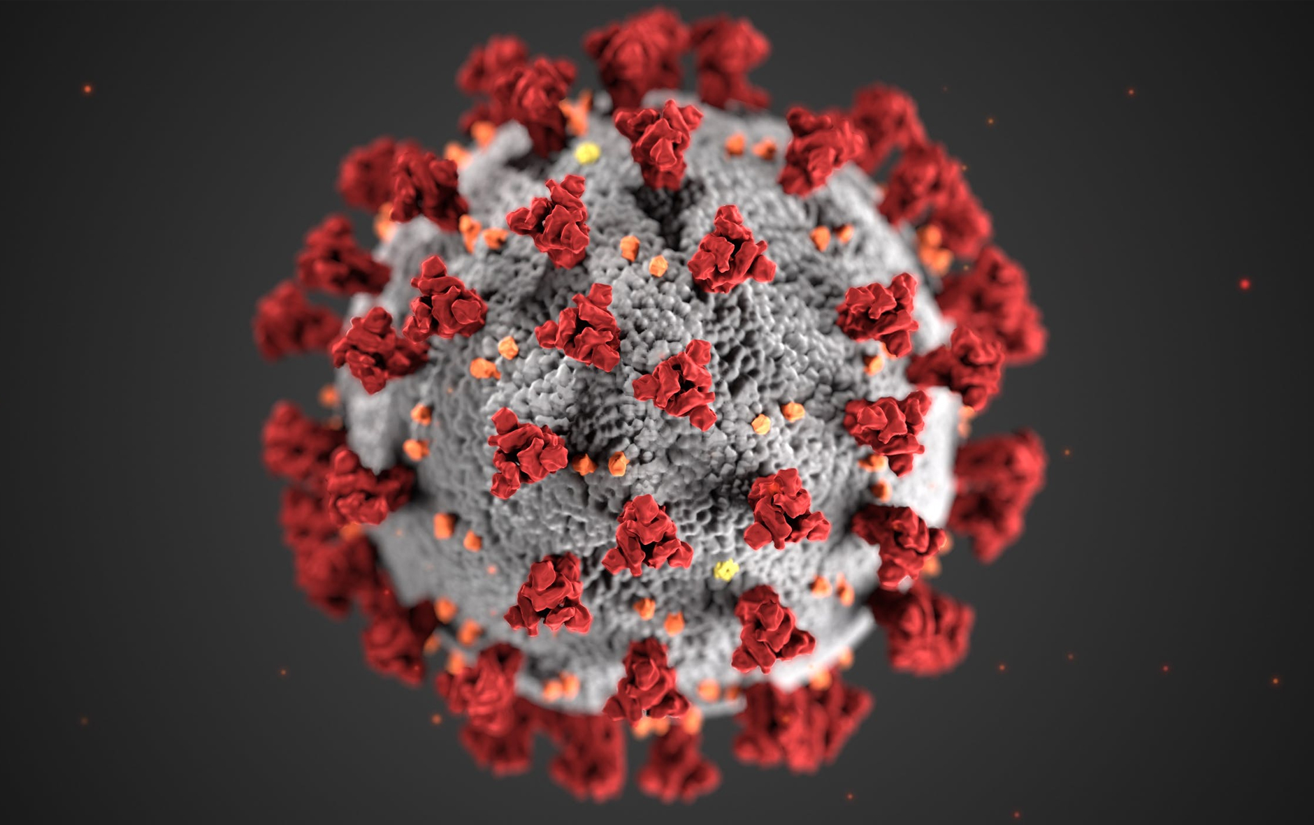 Zasady bezpieczeństwa w czasie epidemii COVID-19